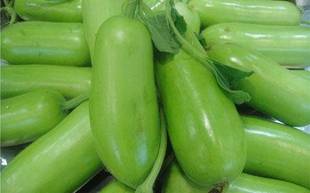 吃蒲瓜网红整根